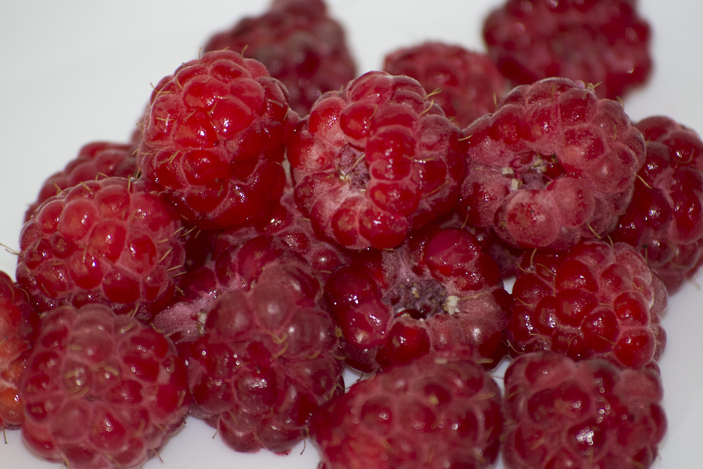 Raspberries: Benefits, Nutrition, and Facts