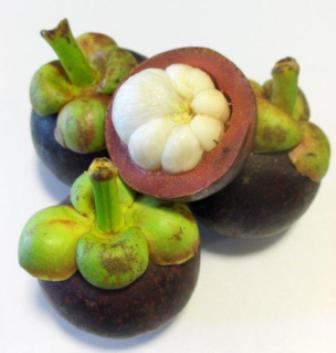 Mangosteen